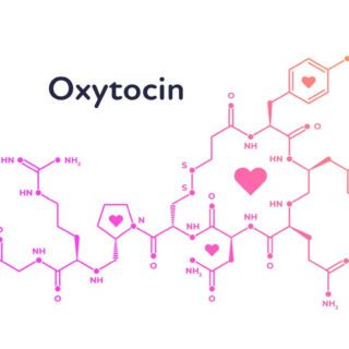 الهيكل الكيميائي لهرمون الأوكسيتوسين