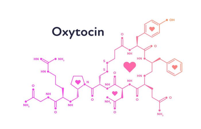 الهيكل الكيميائي لهرمون الأوكسيتوسين