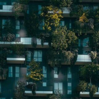 نباتات خضراء تنمو على شرفات الشقق ضمن عمارة سكنية