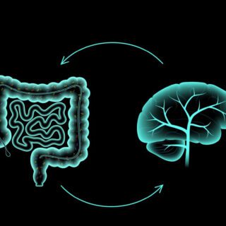 رسمة ثلاثية الأبعاد للدماغ و القولون وبينهما سهمان متبادلان يدل على التواصل المباشر بينهما