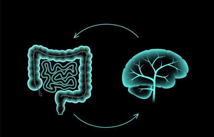 رسمة ثلاثية الأبعاد للدماغ و القولون وبينهما سهمان متبادلان يدل على التواصل المباشر بينهما