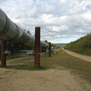 أنبوب معدني ضخم بين الغابات ينقل الغاز الطبيعي