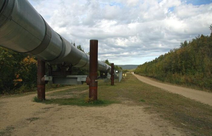 أنبوب معدني ضخم بين الغابات ينقل الغاز الطبيعي