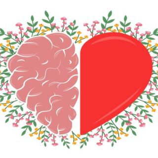 رسمة توضيحية لنصفين الأول نصف قلب والنصف الآخر هو نصف دماغ إنسان دلالة على العلاقة بين القلب والعقل في الحب