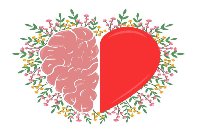 رسمة توضيحية لنصفين الأول نصف قلب والنصف الآخر هو نصف دماغ إنسان دلالة على العلاقة بين القلب والعقل في الحب