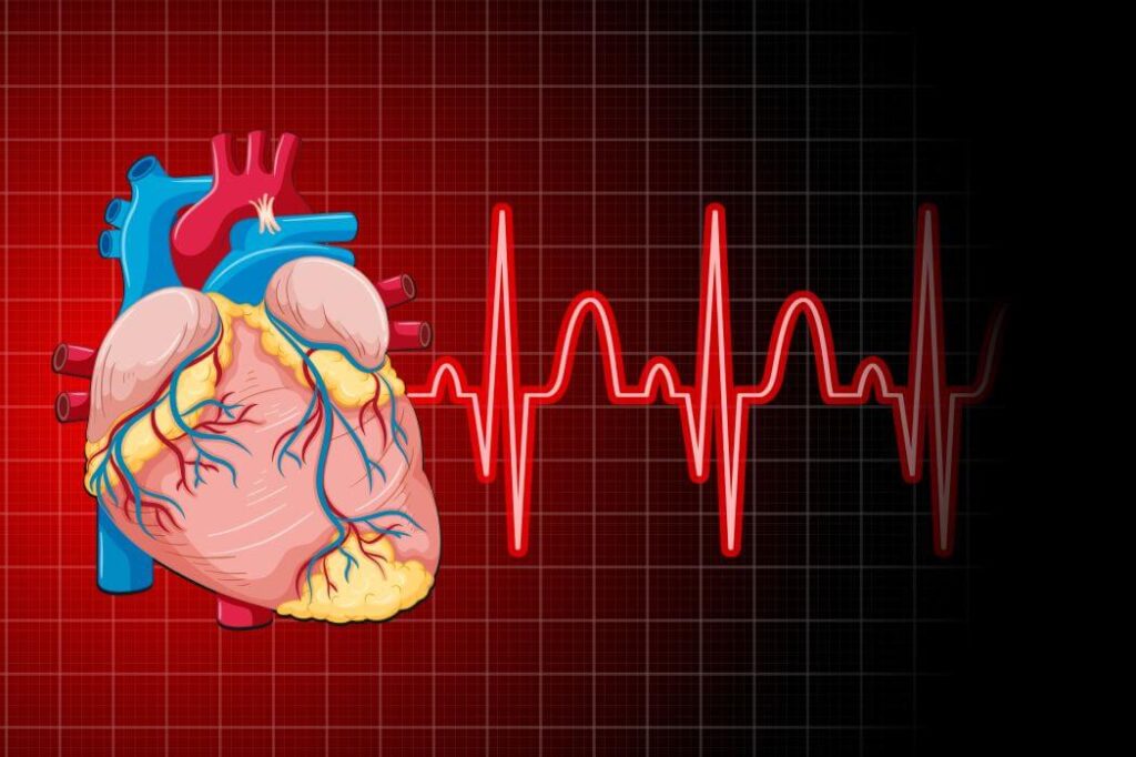 صورة تشريحية لقلب الإنسان ويظهر بجانبه رسم تخطيطي للقلب باللون الأحمر