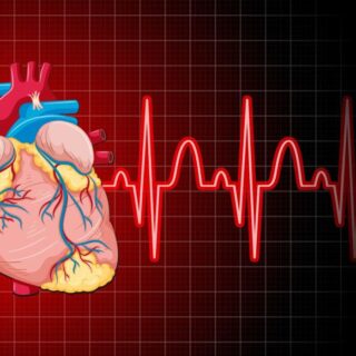 صورة تشريحية لقلب الإنسان ويظهر بجانبه رسم تخطيطي للقلب باللون الأحمر