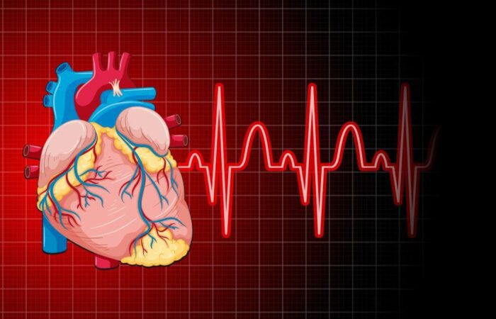 صورة تشريحية لقلب الإنسان ويظهر بجانبه رسم تخطيطي للقلب باللون الأحمر