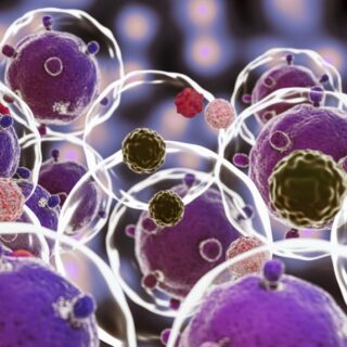 مجموعة من الكرات البنفسجية والبنية والحمراء التي تطفو مع بعضها في وسط شفاف اللون