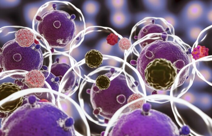 مجموعة من الكرات البنفسجية والبنية والحمراء التي تطفو مع بعضها في وسط شفاف اللون