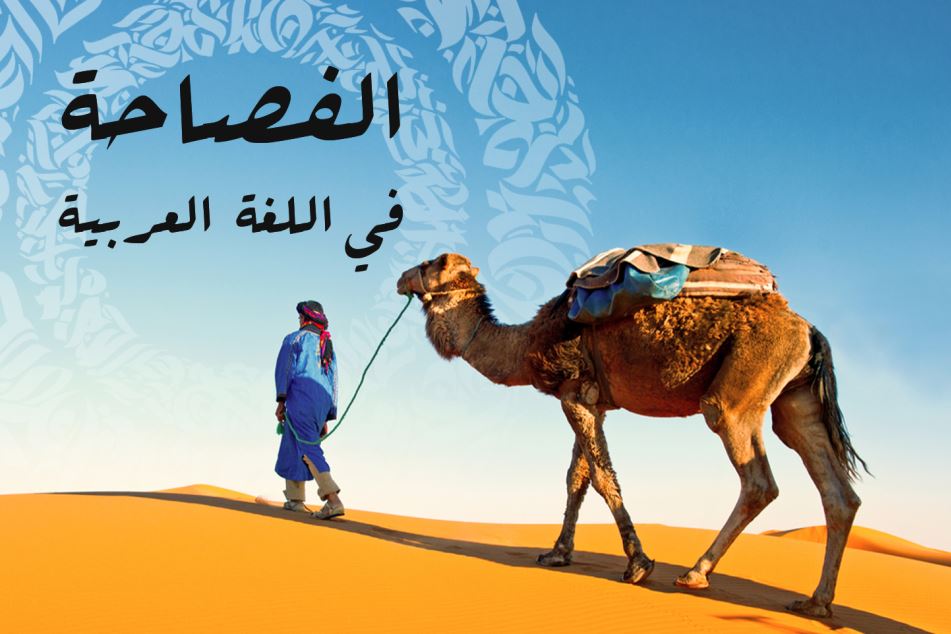 رجل عربي في الصحراء مع الجمل وفي الصورة جملة الفصاحة في اللغة العربية مكتوبة بالعربي