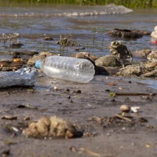 علب بلاستيكية شفافة فارغة مرمية على شاطئ بحيرة