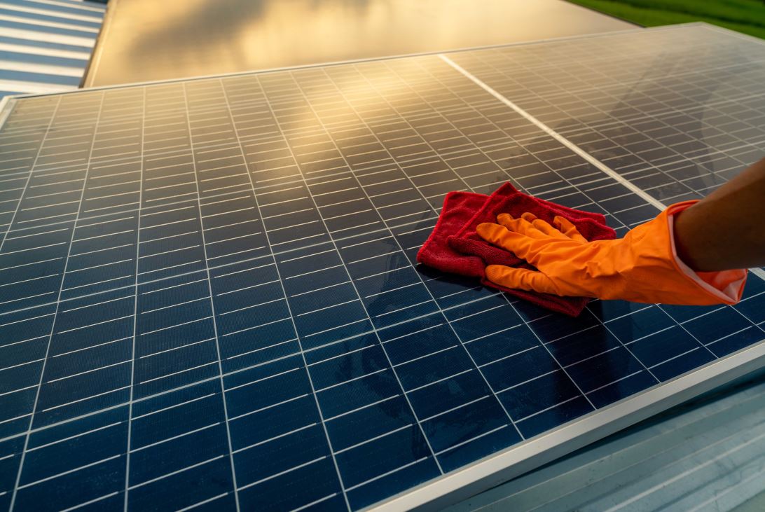 عامل يلبس قفازات مطاطية ويقوم بتنظيف الألواح الشمسية