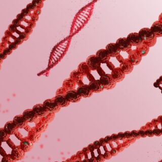 مجموعة من الأشرطة الحمراء على شكل سلم والملتفة حول بعضها البعض