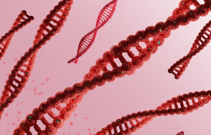 مجموعة من الأشرطة الحمراء على شكل سلم والملتفة حول بعضها البعض