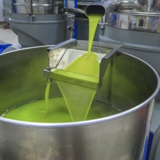 زيت زيتون أخضر يخرج من أنبوب معدني ويتجمع في وعاء كبير داخل المعصرة