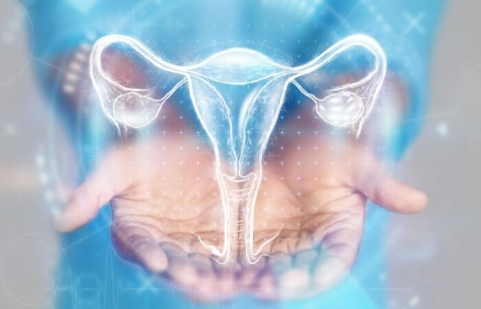 رسمة توضيحية للرحم عند المرأة