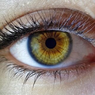 عين بشرية لون القزحية فيها عسلي