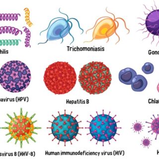 رسم توضيحي للفيروسات التي تصيب الأنسان عبر الاتصال الجنسي