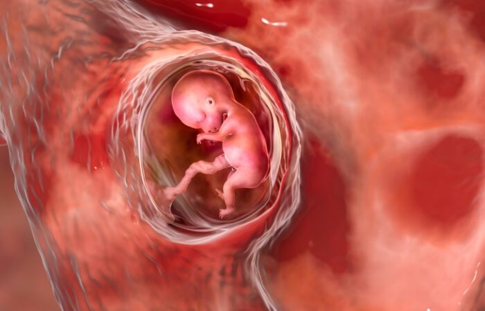 رسمة توضيحية لجنين محاط بسائل ضمن الرحم