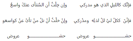 بيت شعر باللغة العربية