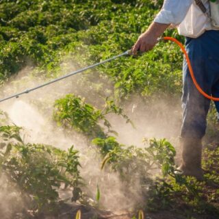 مزارع يقوم برش مادة كيميائية على النباتات