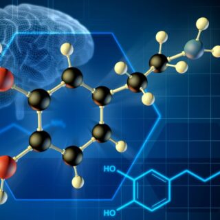 رسم توضيحي للدماغ وبجانبه الرمز الكيميائي لهرمون الدوبامين