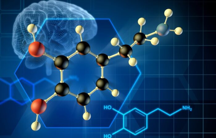 رسم توضيحي للدماغ وبجانبه الرمز الكيميائي لهرمون الدوبامين