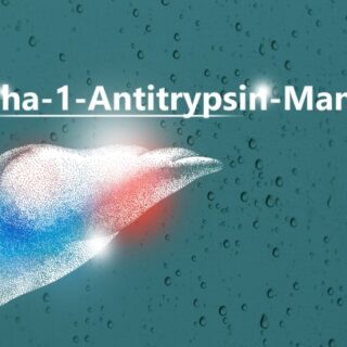 عبارة ألفا 1 أنتي تريبسين بالإنكليزية