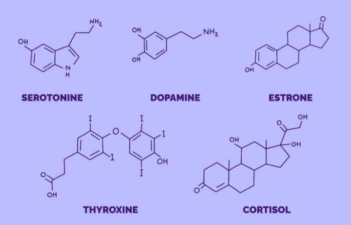 الصيغة الكيميائية للهرمونات