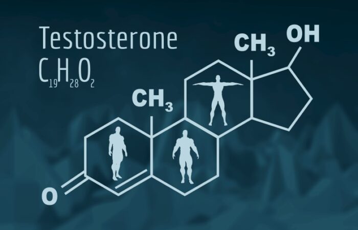 الصيغة الكيميائية لهرمون التستوستيرون
