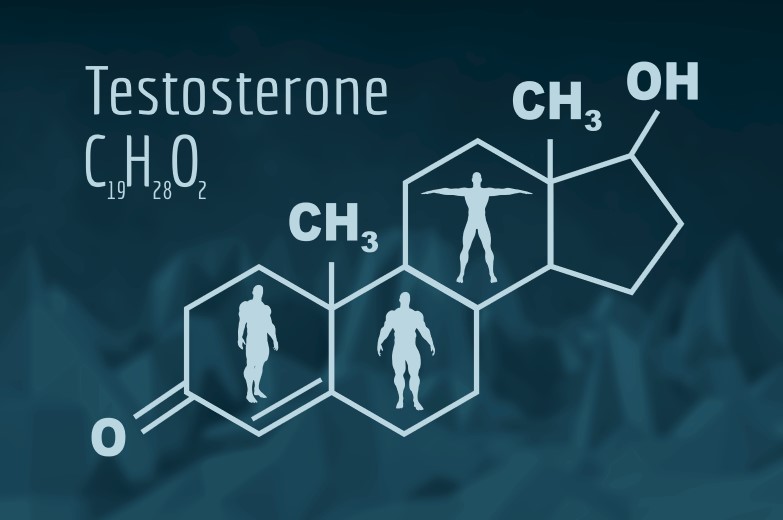 الصيغة الكيميائية لهرمون التستوستيرون