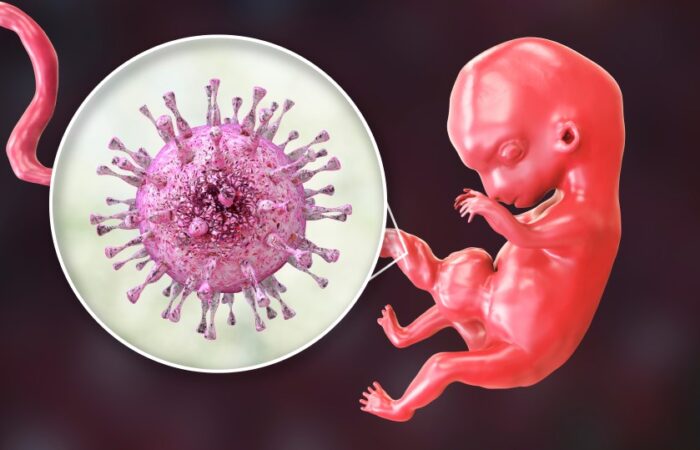 جنين وفيروس داخل الحبل السري للمشيمة