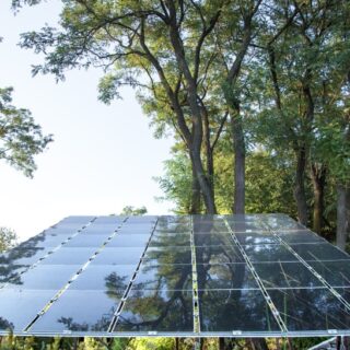 مجموعة من ألواح الطاقة الشمسية الشفافة وخلفها توجد أشجار