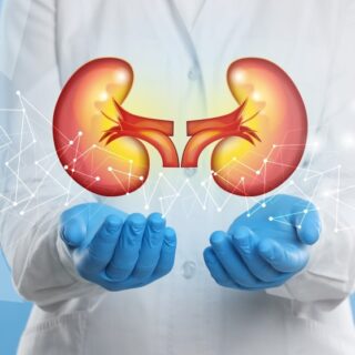 رسم توضيحي للكلية بين يدي طبيب