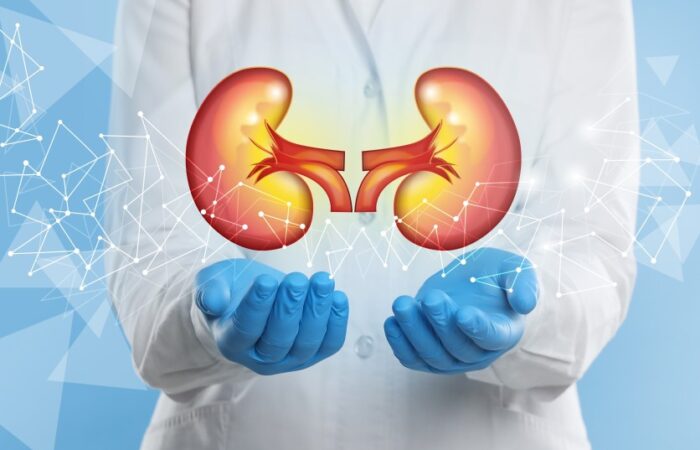 رسم توضيحي للكلية بين يدي طبيب