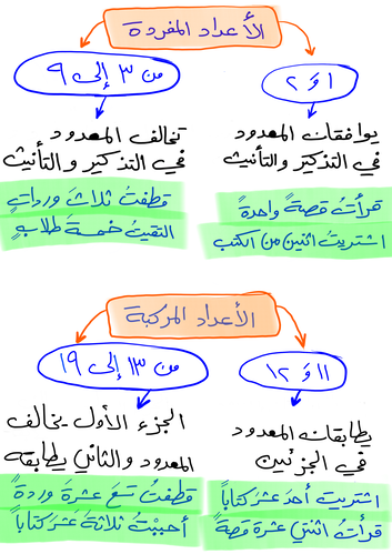 خريطة مفاهيمية لأحكام العدد والمعدود في اللغة العربية للأرقام من 1 حتى 19