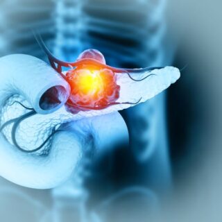 رسم ثلاثي الأبعاد للبنكرياس