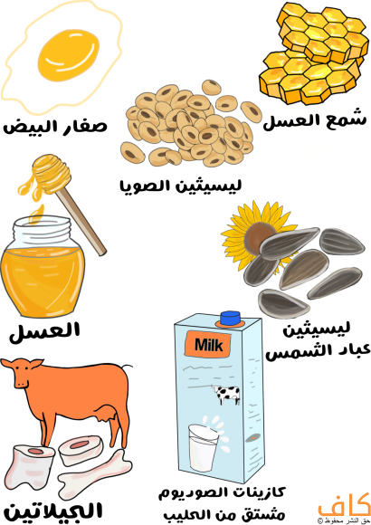 رسم توضيحي لبيوت النحل الصفراء السداسية الشكل وبذور بنية اللون وصفار البيض بالإضافة لبزور عباد الشمس وعلبة من العسل