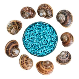 قواقع الحلزون بشكل دائري وفي المنتصف حبوب كيميائية زرقاء اللون