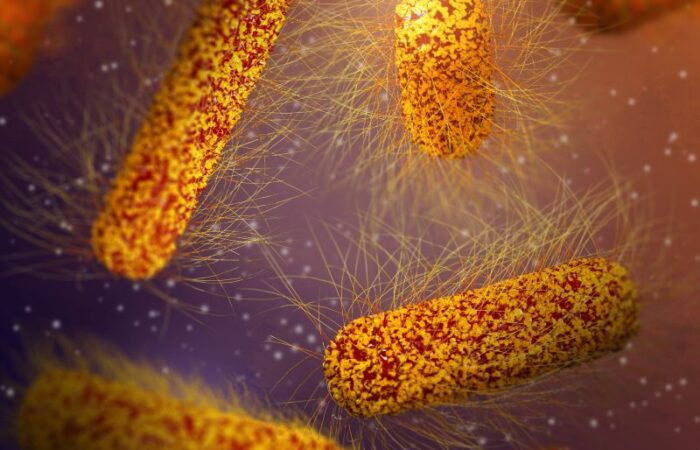 رسم توضيحي لجرثومة السالمونيلا على شكل أسطوانة