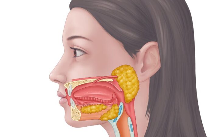 وجه امرأة يظهر فيه أماكن تواجد الغدد اللعابية أسفل اللسان وتحت الفك وفي المنطقة النكفية
