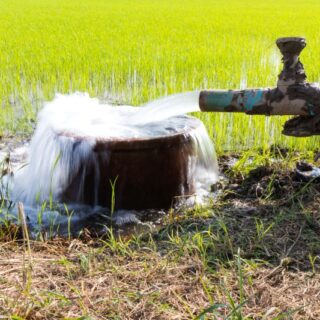 ماء متدفق من أنبوب فولاذي ضمن حقل زراعي