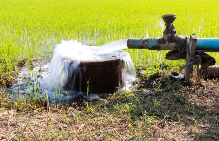 ماء متدفق من أنبوب فولاذي ضمن حقل زراعي