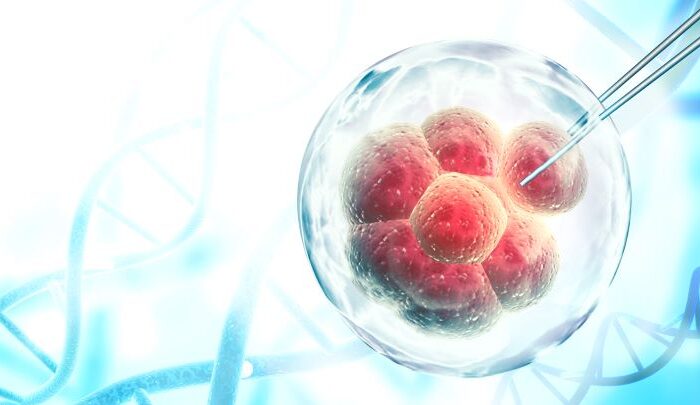 رسم ثلاثي الأبعاد للخلية الجذعية