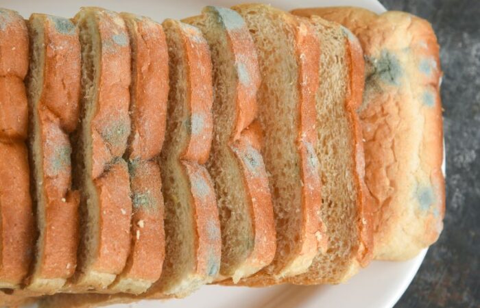 شرائح من الخبز الغير طازجة حيث يظهر بقع من العفن