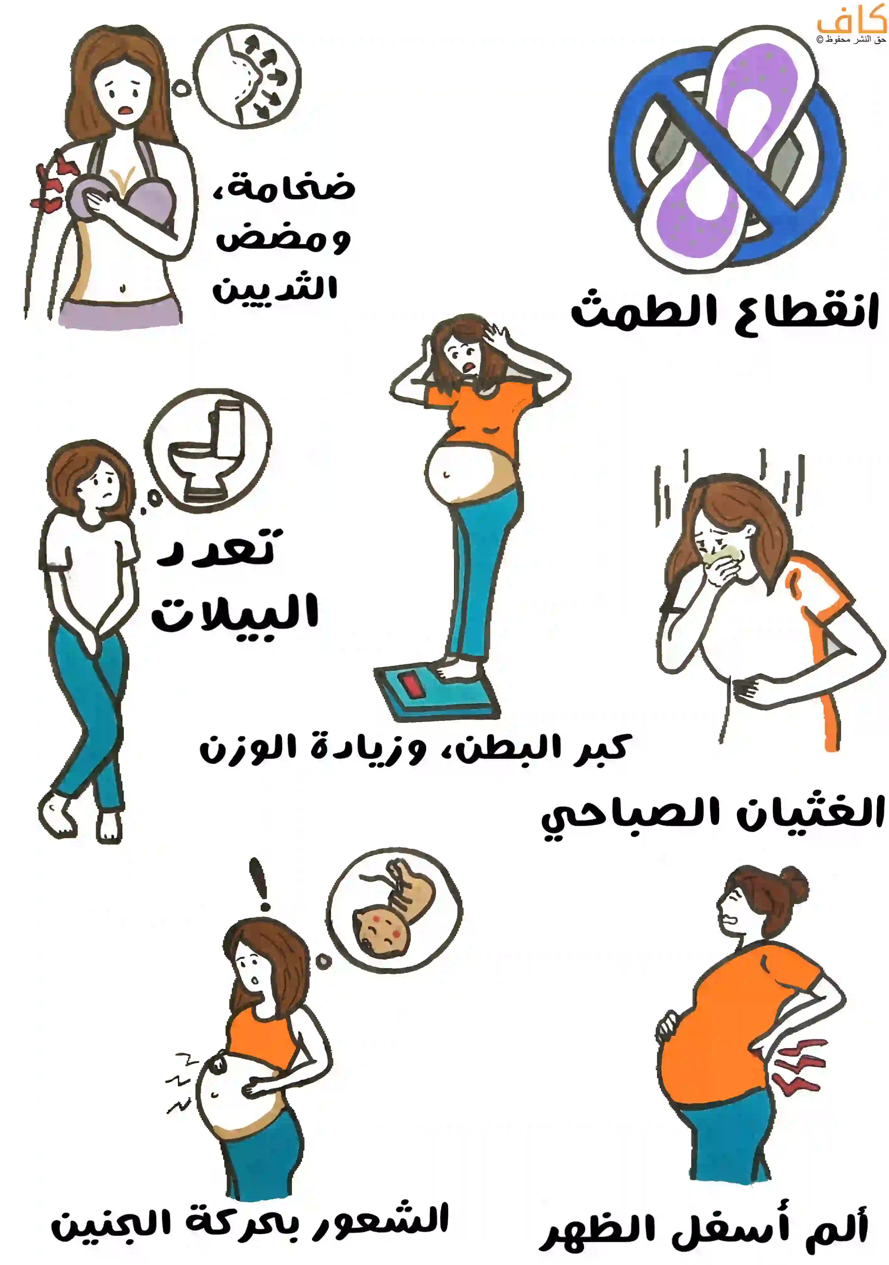 صورة توضيحية لامرأة تظهر عليها أعراض الحمل الكاذب، تشمل انقطاع الطمث، كبر حجم البطن وزيادة الوزن، الغثيان الصباحي، تضخم ومضض الثديين، تعدد مرات التبول، الشعور بحركة الجنين بشكل كاذب، وألم أسفل الظهر.