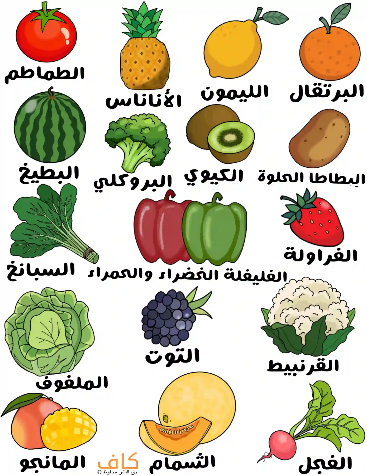 رسم توضيحي يبيّن مجموعة متنوعة من الفواكه والخضروات الغنية بفيتامين C، مثل البرتقال، الليمون، الأناناس، الكيوي، الفراولة، التوت، الشمام، المانجو، البطيخ، الطماطم، البروكلي، السبانخ، الفليفلة، الملفوف، القرنبيط، البطاطا الحلوة، والفجل.