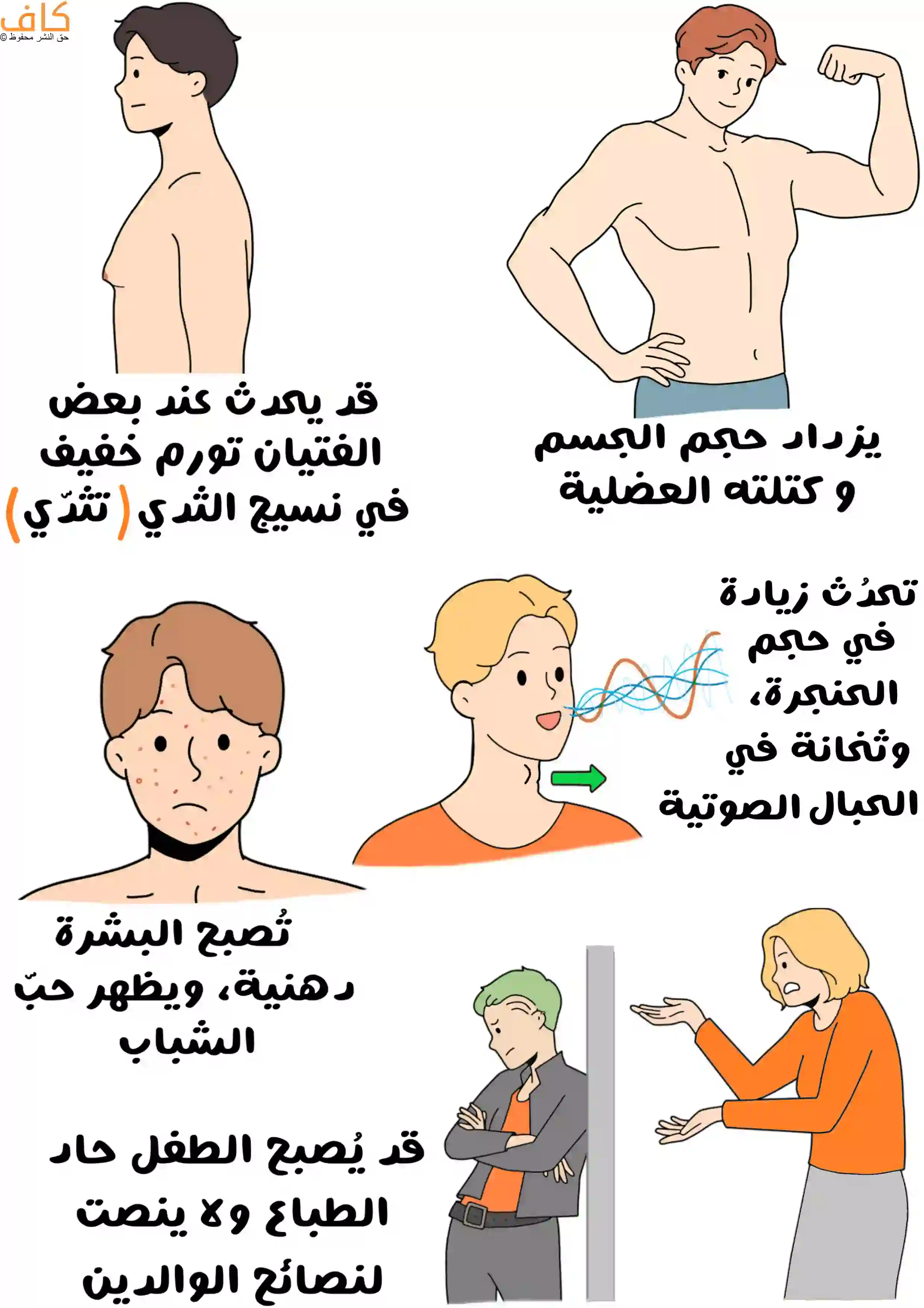 رسم توضيحي لعدة فتيان يمرّون بتغيرات البلوغ، حيث يظهر شاب بعضلات بارزة، وفتى آخر بصوت متغير نتيجة تضخم الحنجرة، ووجه مراهق ببشرة دهنية وحب شباب يملئ وجهه، إضافة إلى فتى بجانب امرأة غاضبة في مشهد يوضح حدة الطبع وعدم الاستماع لنصائح الوالدين، كما يظهر فتى آخر يعاني من تورم بسيط في نسيج الثدي.
