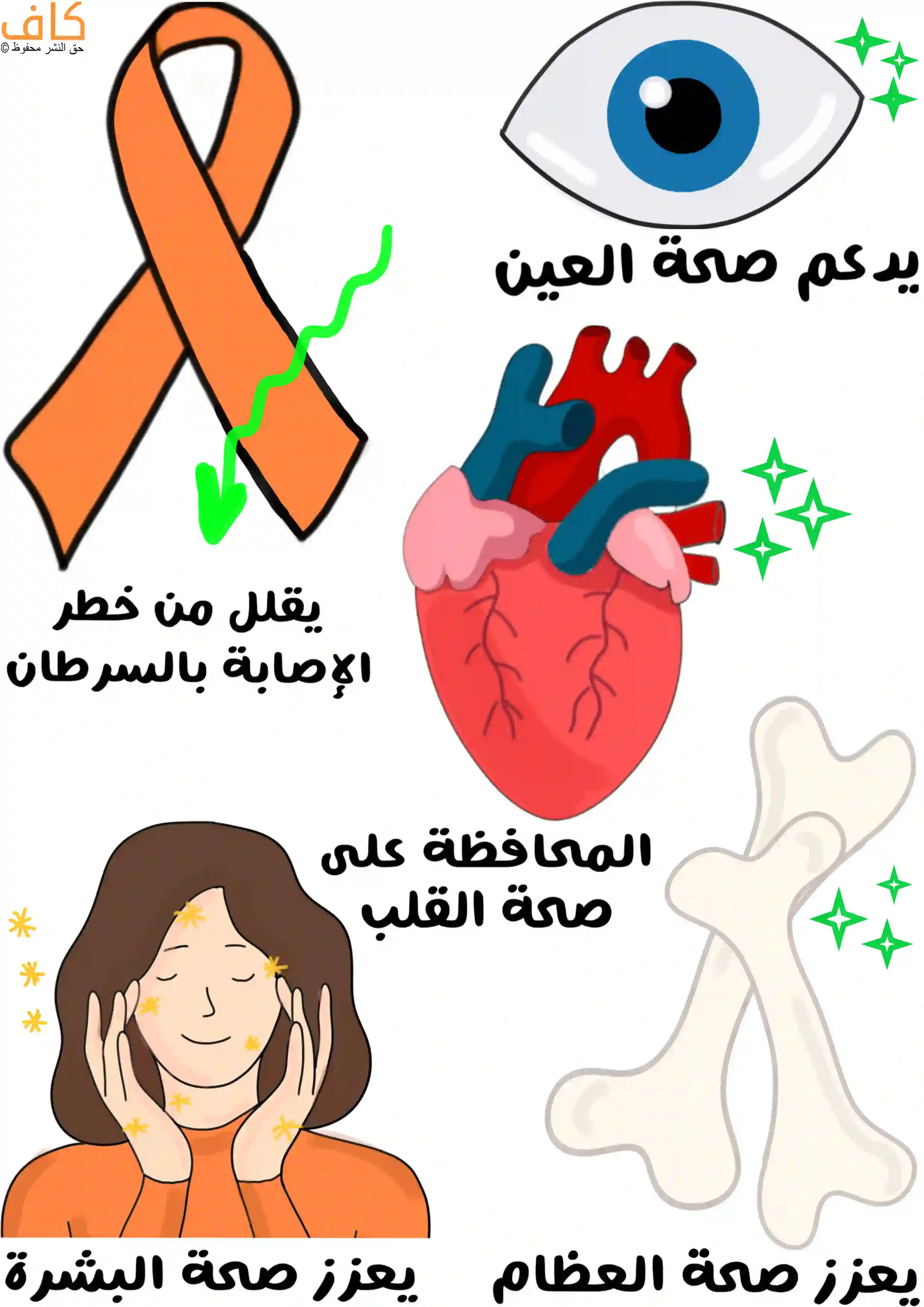 رسمة توضّح فوائد الجزر المجفف، حيث يظهر شريط برتقالي للوقاية من السرطان، عين زرقاء لتمثيل صحة البصر، قلب أحمر للمحافظة على صحة القلب، عظام بيضاء للدلالة على زيادة قوتها، وامرأة تلمس بشرتها للدلالة على تعزيز صحة الجلد.